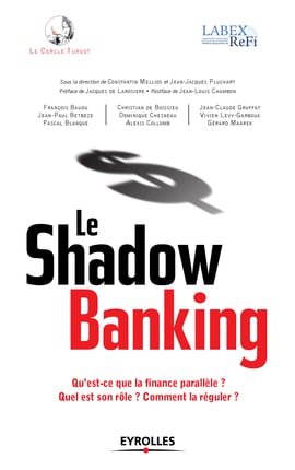 Le Shadow banking : Qu'est-ce que la finance parallèle ? Quel est son rôle ? Comment la réguler ?